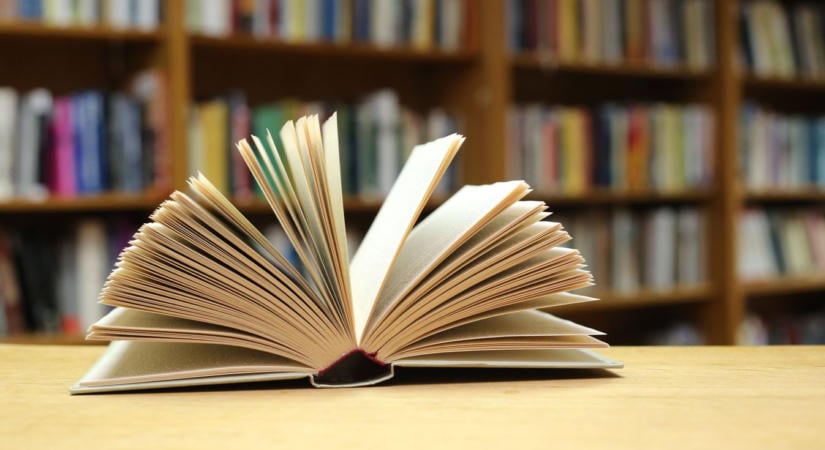 Ennek a könyvnek a vége nem megoldást, hanem egy hatalmas kérdést hagy maga után