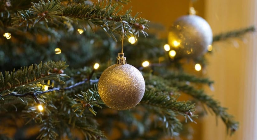 Elmarad a népszavazás december 24-ről, közölték az okát