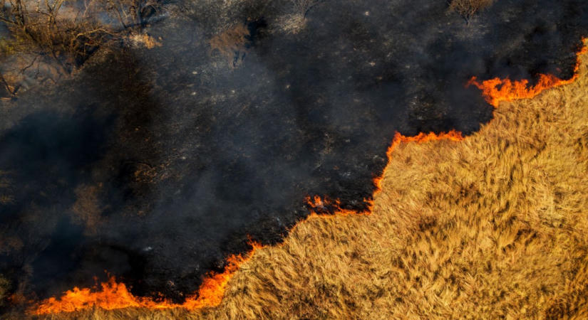 Újabb tűzeset: tízhektárnyi területen pusztítottak a lángok