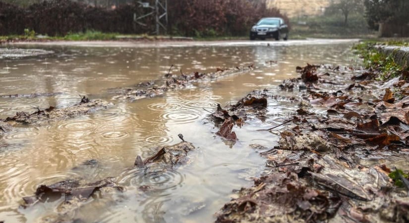 Már az állatok is jelzik: rendkívül erős El Niño közeledik