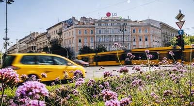 Egy méretes és felesleges gödörből született a főváros legforgalmasabb és legfontosabb tere