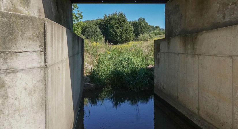Vízen járók lepték el a bakonyi patakot, mint a mesében, a Cuha ezért is egy csoda (galéria, videó)
