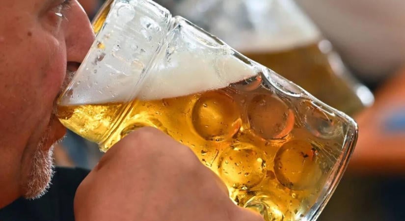Az agy saját immunsejtjei is károsíthatják az idegsejteket túlzott alkoholfogyasztáskor