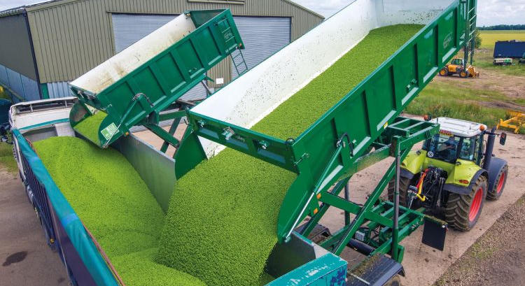 Bailey HL14 High Lift – 4,75 méteren üríti a zöldborsót