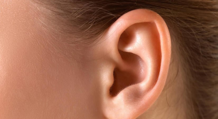 Sárga, barna, fekete, fehér: mit árulhat el a fülzsír a fülünk egészségéről?