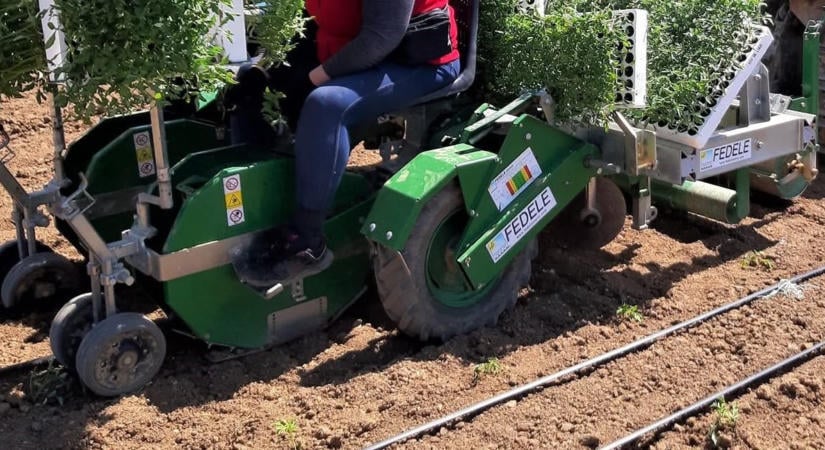 Akikre generációk óta számítani lehet: 30 éves az Alfa-Gép