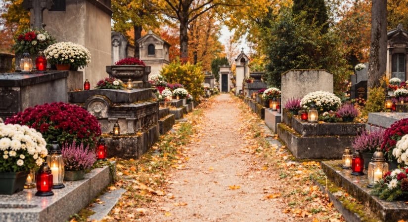 Ezek a virágok bírják legtovább a síron a novemberi hideget