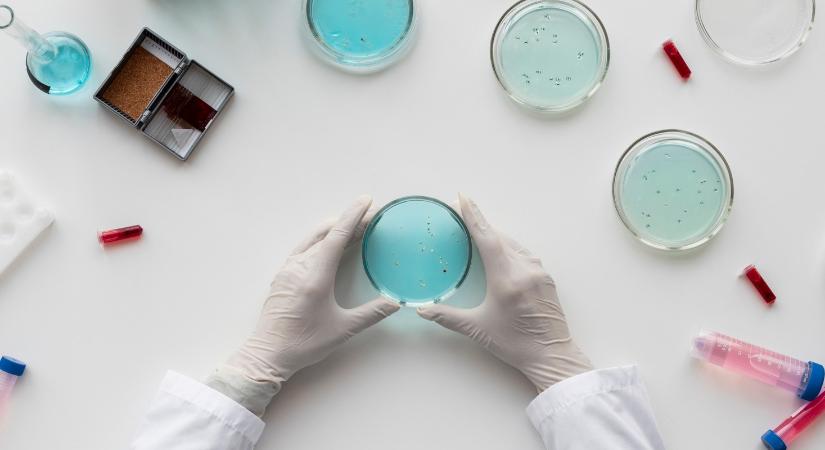 Reflektorfényben a baktériumtársaink: a mikrobák