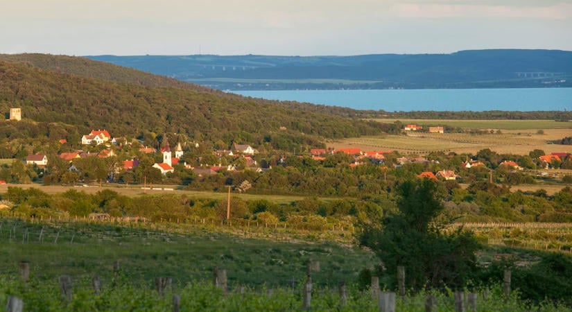 Halünnep 2026 Dörgicse