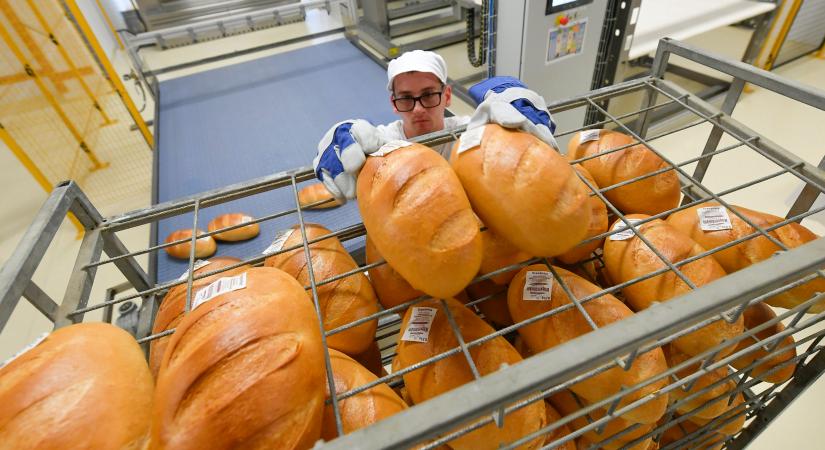 Az uniós élelmiszer-higiéniai szabályozásokhoz tett javaslatokat vár az agrárkamara