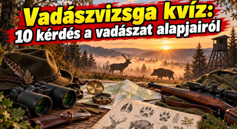 Vadászvizsga kvíz: 10 kérdés a vadászat alapjairól