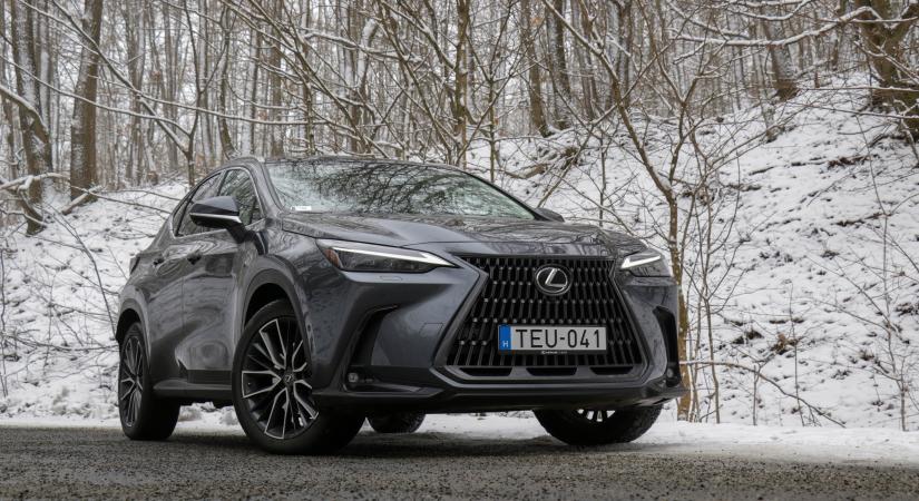 Van pofája hozzá - Lexus NX 350h AWD