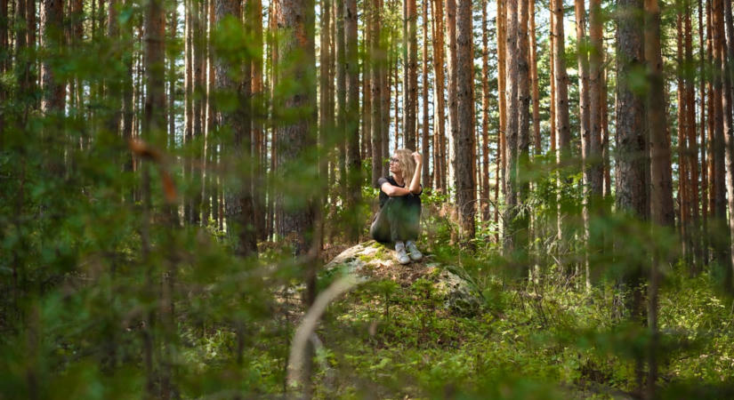 Az Északi-középhegység nevezetességei – ezekért (is) érdemes ide kirándulást szervezni