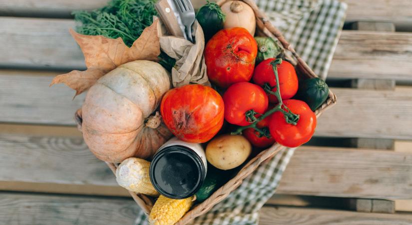 A termőföldtől az egészségig, a magyar agrárium új kitörési pontja