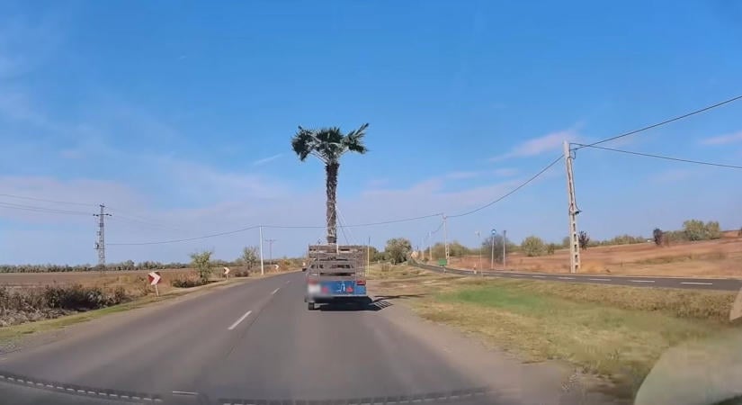 Pálma a fedélzeten: erre a rakományra sokan felkapták a fejüket  videó