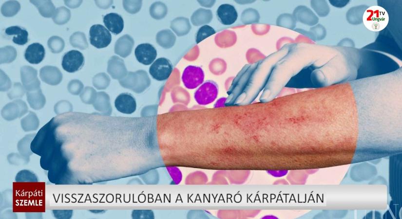 Visszaszorulóban a kanyaró Kárpátalján (videó)
