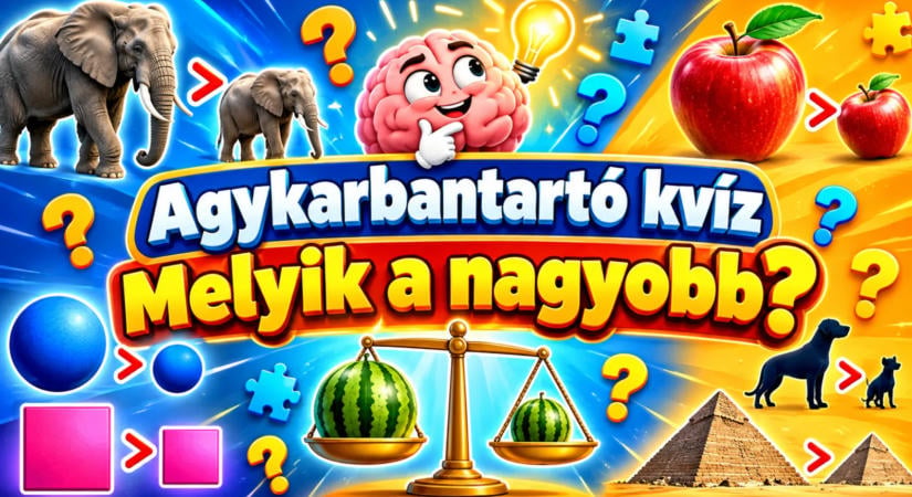 Agykarbantartó kvíz: Melyik a nagyobb?
