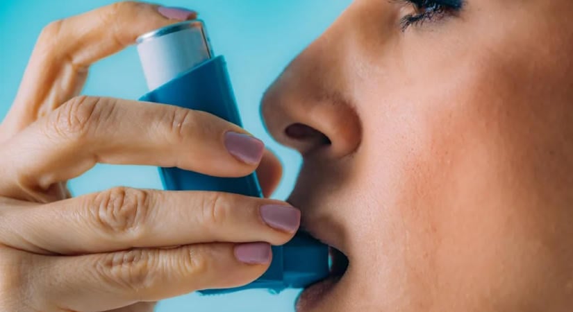 A földben rejtőzhet az allergia és az asztma elleni természetes védelem