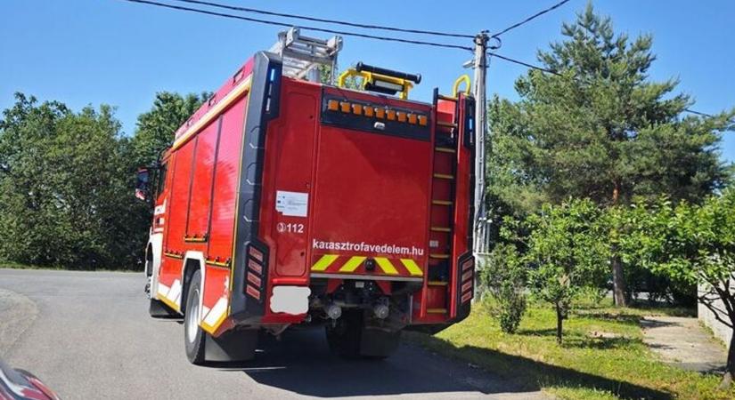 Fűnyírás közben rongáltak meg egy gázcsonkot Vasban