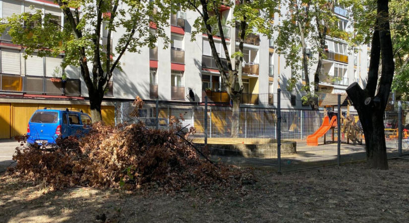 Most volt elég! – Elmérgesedett a helyzet a felhalmozódott zöldhulladék és mocsok miatt