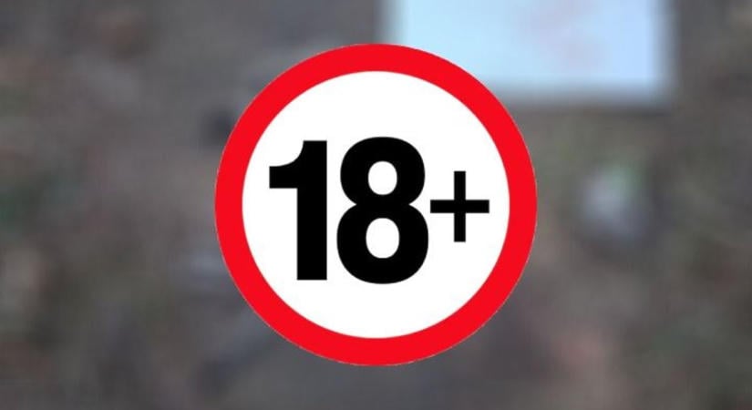 Horror Oroszlányban: brutálisan megcsonkított macskát talált egy 10 éves kisgyerek fotó