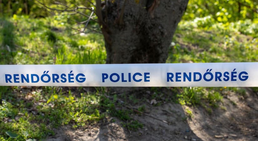Fontos! Kiderült, milyen lövedékeket találtak a Bükkben