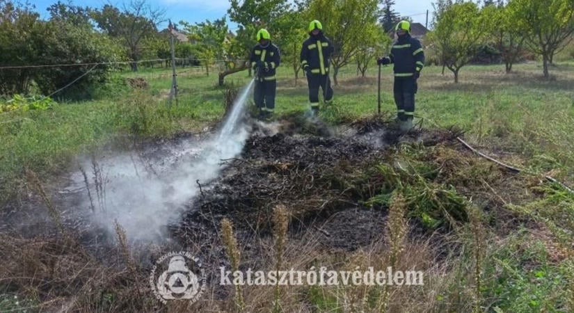 Ötezer négyzetméteren égett az aljnövényzet Vindornyafokon, idős embernek segítettek a tűzoltók Nagykanizsán