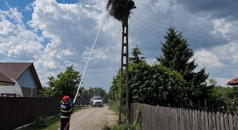 Tűz ütött ki egy gólyafészekben – A madarak utolsó percig a helyszínen maradtak