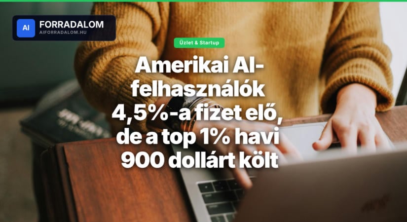 Amerikai AI-felhasználók 4,5%-a fizet elő, de a top 1% havi 900 dollárt költ