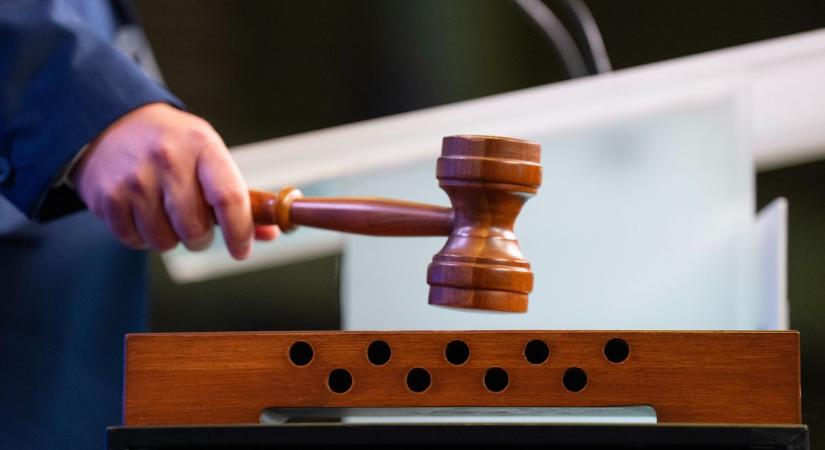 Beteg édesanyjától követelt pénzt italra, tíz év fegyházat kapott