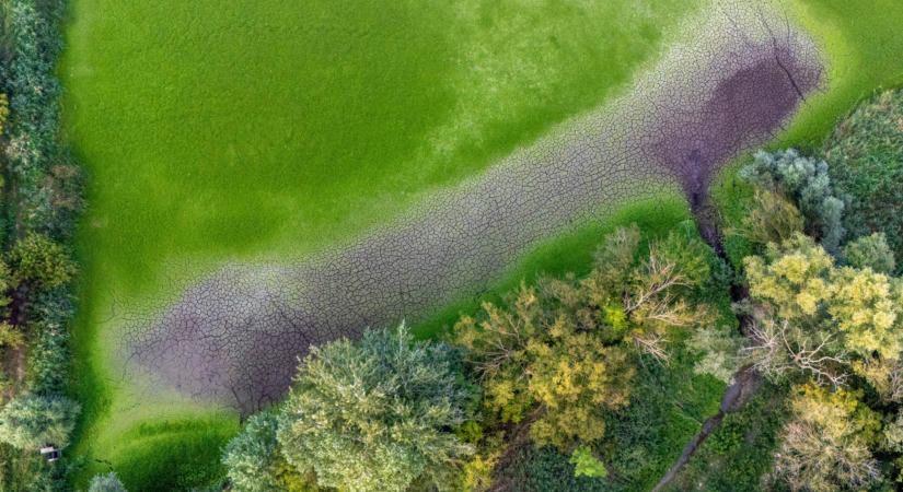 Balaton formát öltött egy kiszáradt halastó a Balaton mellett