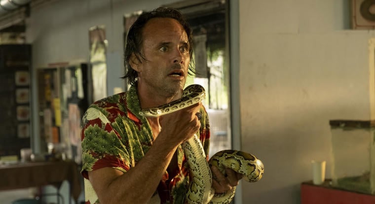 Walton Goggins gonosztevő lesz a 80-as évek ikonikus sorozatának mozifilmjében