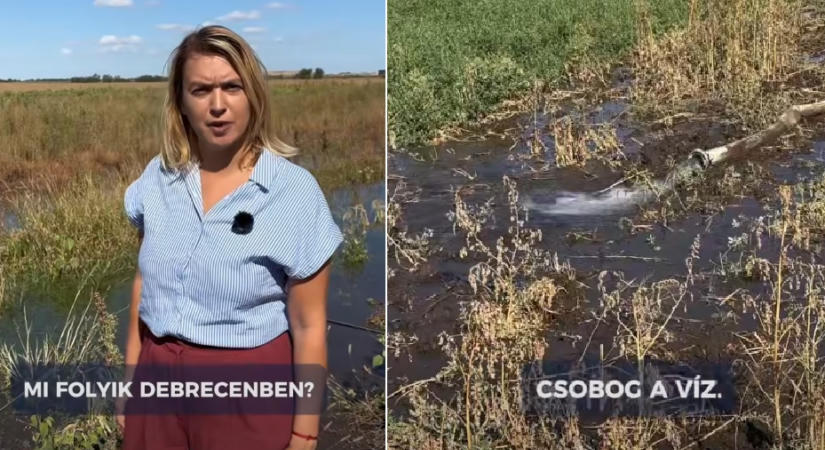 Miért engedik a földre a vizet és fedték le a vízórákat a Déli Ipari Parkban? Tompa Enikő ismét üzent az illetékeseknek