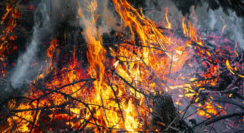 Hiába lélegeztünk fel, a tűzgyújtási tilalom életben maradt – Mutatjuk, mit szabad a kertben!