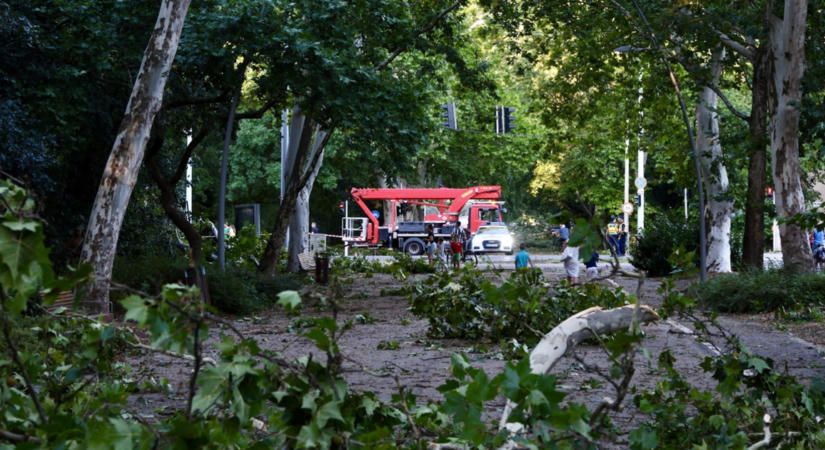 Fákat döntött ki, ágakat szakított le az erős szél több megyében
