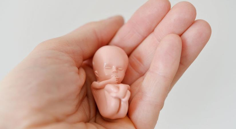 Keserű igazság az abortuszról