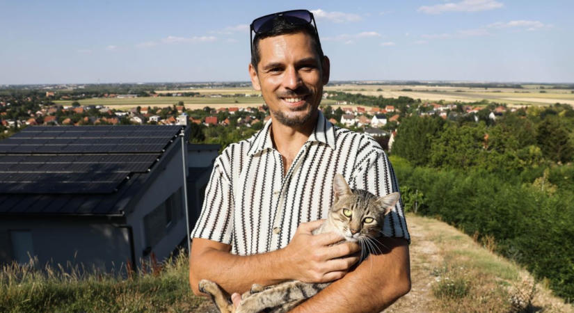 Méreg pusztítja a macskákat Győrújbaráton – Chino már jól van, de hét társa elpusztult