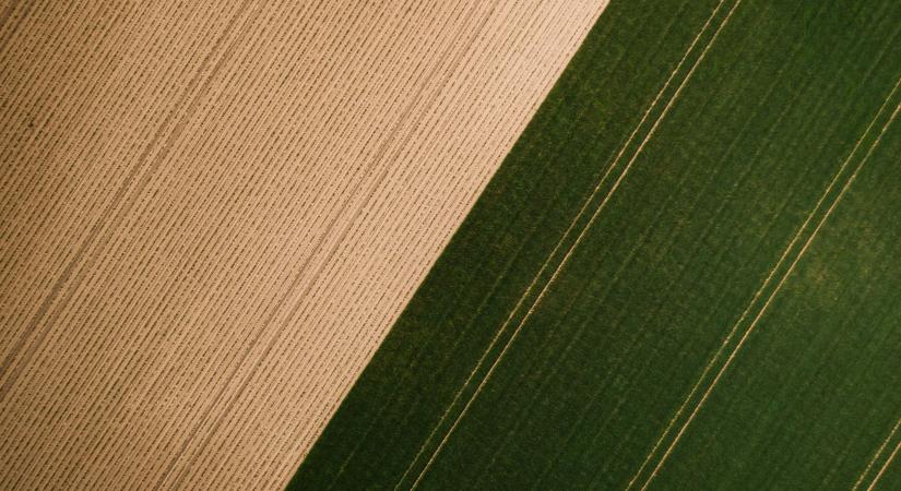 Durva lenne az agrárreform - 40 százalékot zuhanhat a termelés?