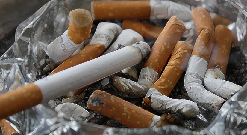 Felszámoltak egy cigarettacsempész-hálózatot – 11 millió eurós kárt okoztak az államnak