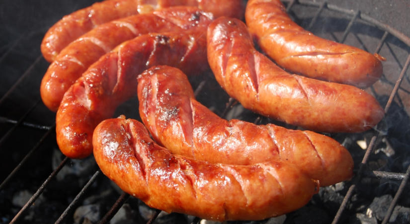 Kullancscsípés után lett húsallergiás a 16 éves fiú – egy kolbász váltotta ki a végzetes reakciót