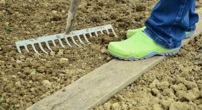 Mikor és miért adjunk még tél előtt a növényeknek káliumot?