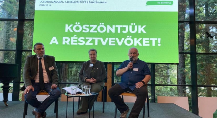 Hogyan állíthatók helyre a károsodott erdők? – Nemzetközi összefogásban dolgoznak a szakemberek