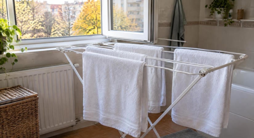 Miért büdösek a törölközők már egyetlen használat után? Nem feltétlenül a mosószer a hibás
