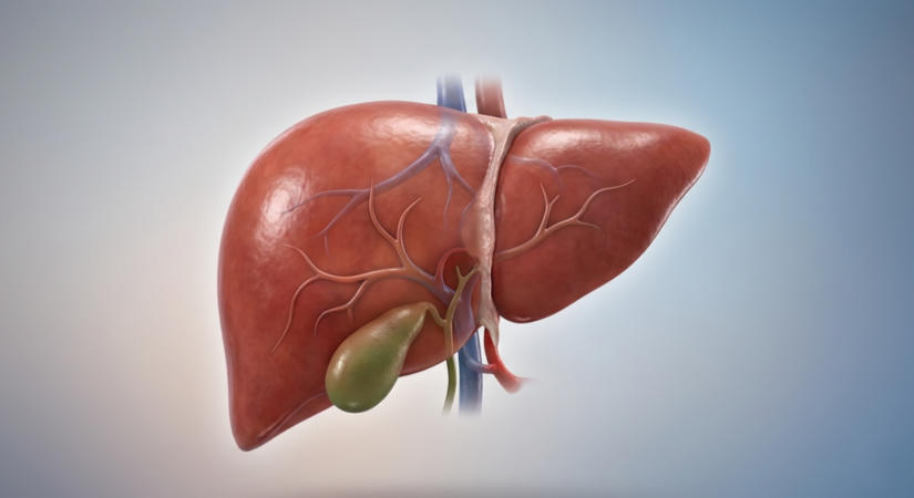 Hepatitis az EU-ban: látványos javulás, rossz magyar mutatók