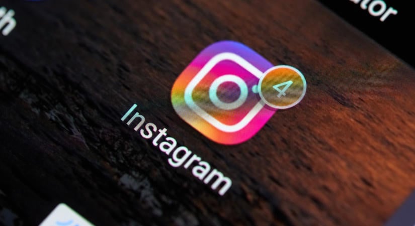 Luxusban él, gyöngyökkel pózol és százezrek rajonganak érte: az Instagram legelegánsabb kutyájának hihetetlen története!