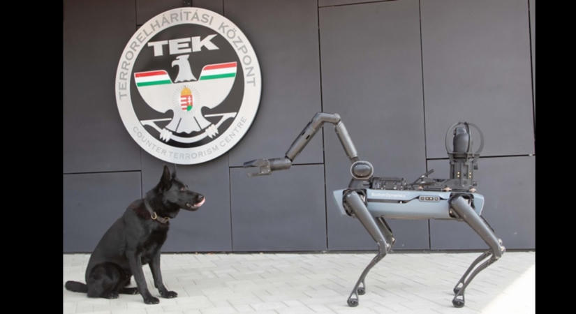 Robotkutya segíti a TEK műszaki felderítő munkáját