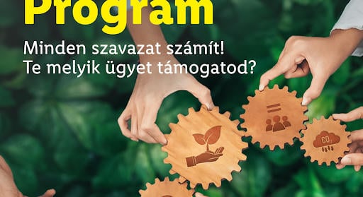 Közönségszavazással oszt szét 50 millió forintot a Lidl civil szervezetek között