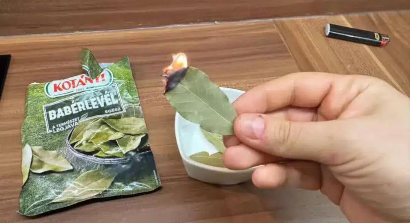 Csak égess el néhány babérlevelet ősszel és meglátod, megoldja a legnagyobb problémád!