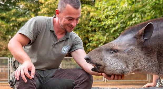 Samu a Nagyerdőről a Baltikumba költözött