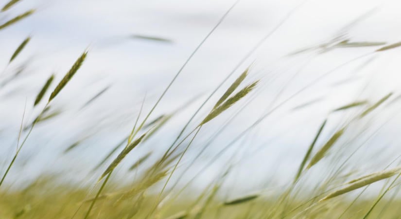 10 fokot zuhan a hőmérséklet, viharossá fokozódhat a szél